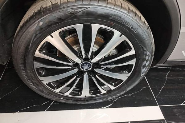 BYD Tang New Energy 2025, 5600 км, за 24603 USD - фото 10