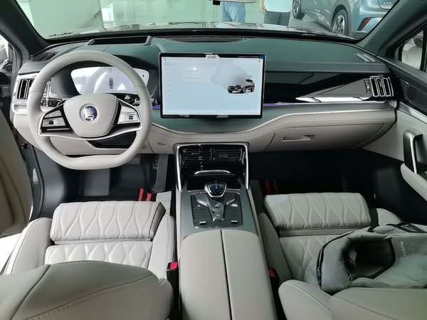 BYD Tang New Energy 2025, 56200 км, за 22358 USD - фото 13