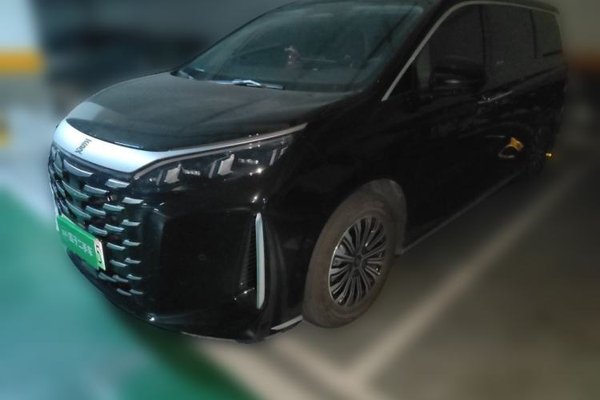 BYD Xia · 2025 год