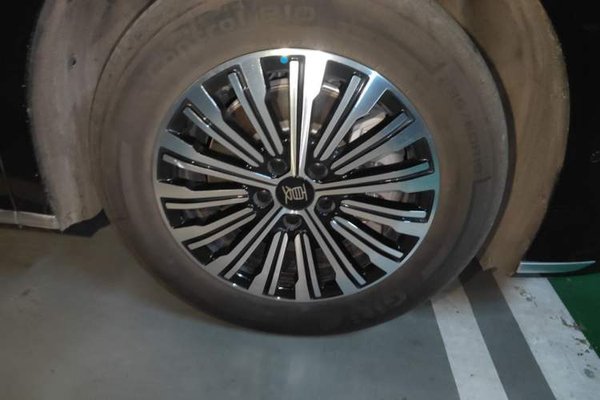 BYD Xia 2025, 10200 км, за 26592 USD - фото 8