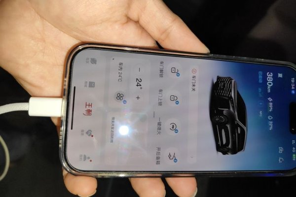 BYD Xia 2025, 10200 км, за 26592 USD - фото 9