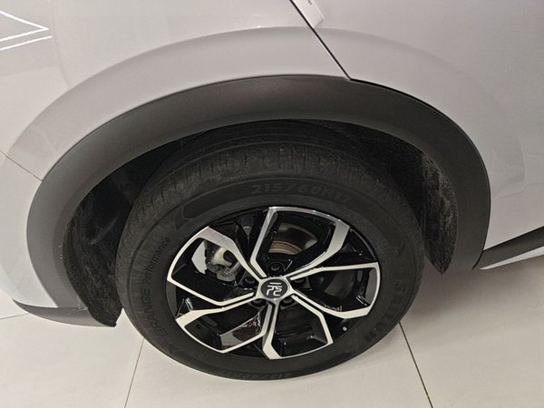 BYD Yuan PLUS 2024, 3300 км, за 16219 USD - фото 17