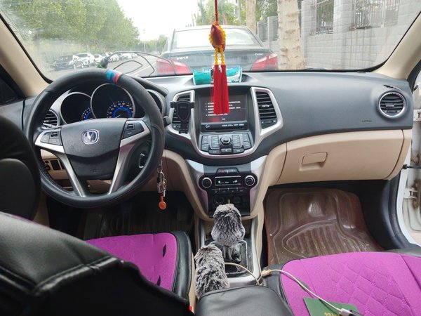 CHANGAN Eado 2015, 87400 км, за 2484 USD - фото 10