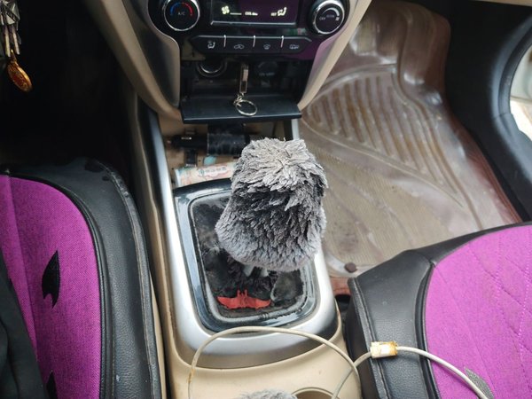CHANGAN Eado 2015, 87400 км, за 2484 USD - фото 15