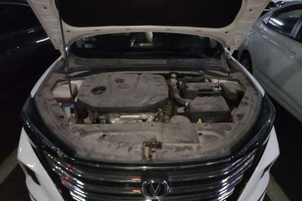 CHANGAN Eado 2020, 33100 км, за 7407 USD - фото 21