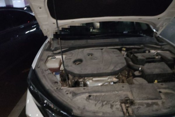CHANGAN Eado 2020, 33100 км, за 7407 USD - фото 23