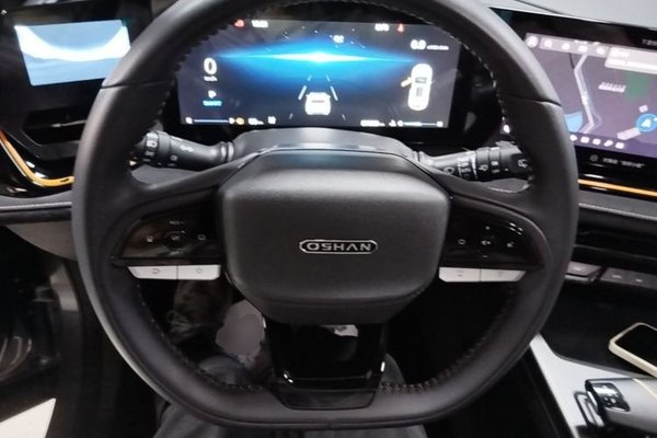 CHANGAN OSHAN X5 PLUS 2023, 37700 км, за 10648 USD - фото 18