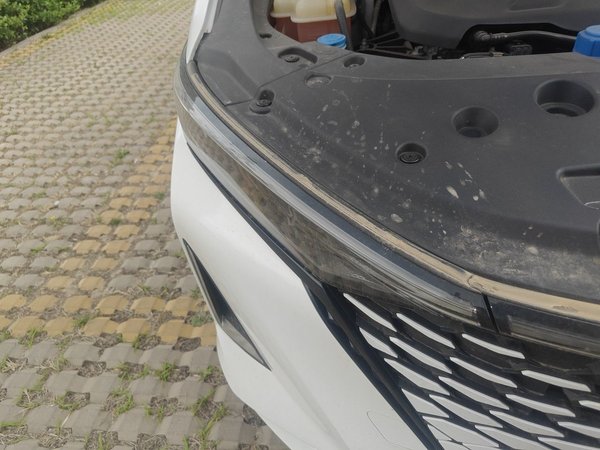 CHANGAN Ruicheng PLUS 2023, 38000 км, за 9484 USD - фото 7