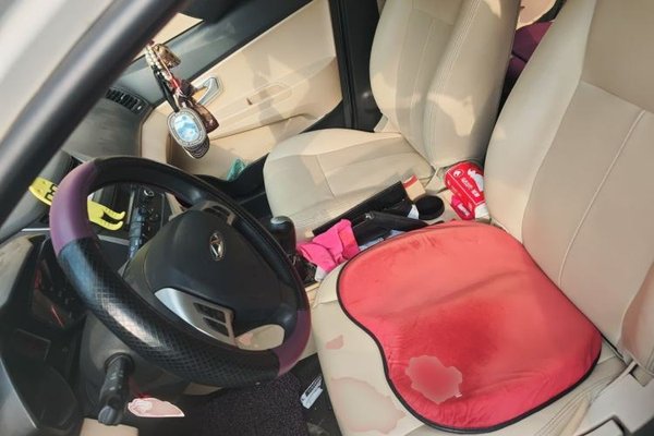 Chery Fengyun 2 2015, 129400 км, за 2177 USD - фото 15