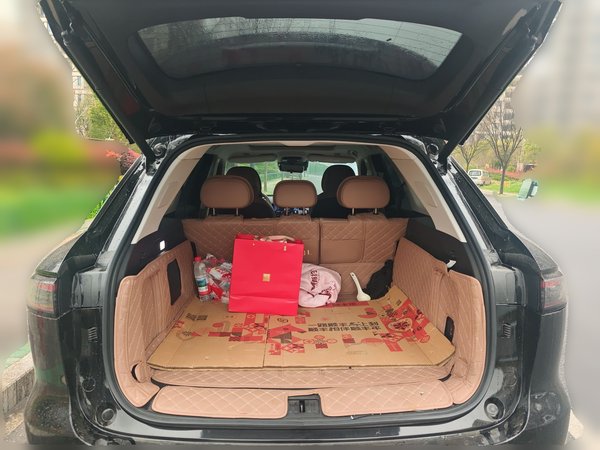 Chery Tiggo 8 L 2024, 33400 км, за 17392 USD - фото 16