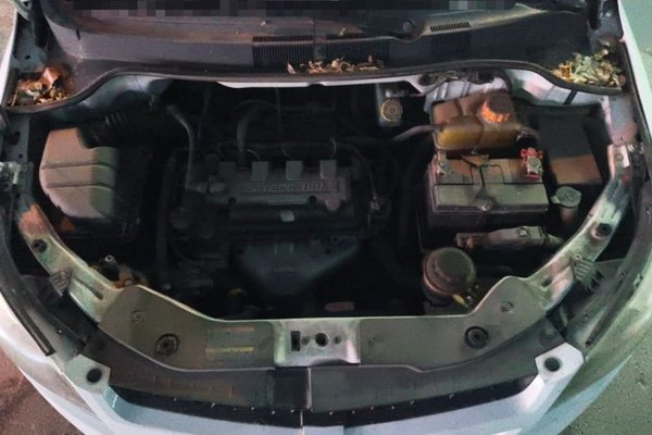 Chevrolet Sail 2013, 78700 км, за 2029 USD - фото 21