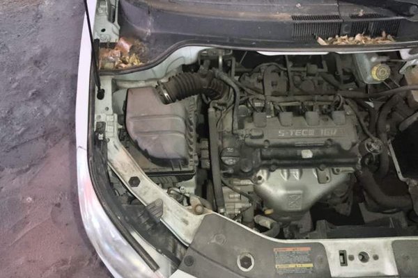 Chevrolet Sail 2013, 78700 км, за 2029 USD - фото 23