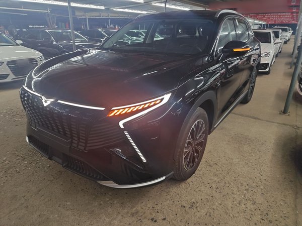 Cowin Kulun · 2026 год