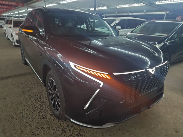 Cowin Kulun 2026, 600 км, за 15449 USD