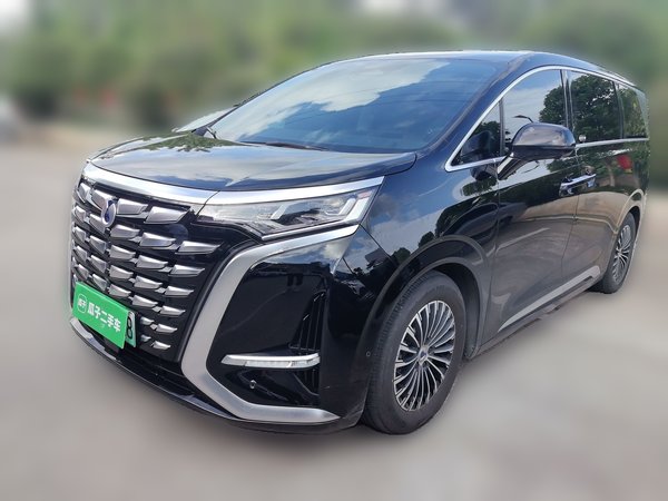 Denza D9 · 2024 год