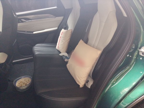 Dongfeng Aeolus Mage 2023, 49600 км, за 9362 USD - фото 14