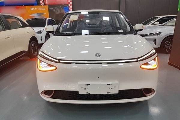 Dongfeng NAMMI 01 2026, 100 км, за 10615 USD
