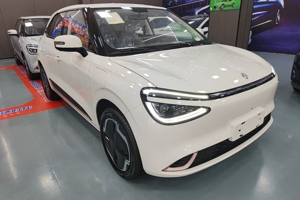 Dongfeng NAMMI 01 2026, 100 км, за 10615 USD