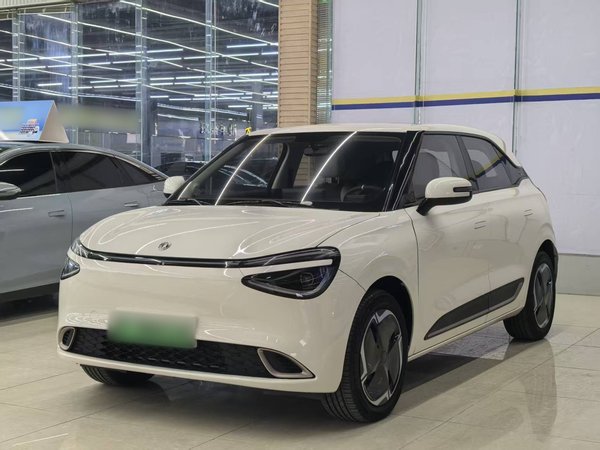 Dongfeng Nammi 01 · 2024 год