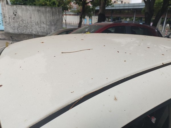 Everus S1 2014, 114900 км, за 3508 USD - фото 11