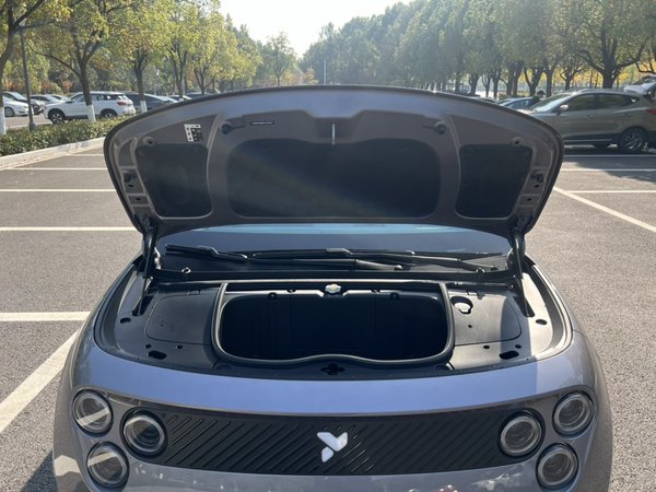 Nio Firefly 2025, 3800 км, за 13597 USD - фото 10