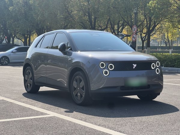 NIO Firefly 2025, 4600 км, за 13376 USD - фото 22