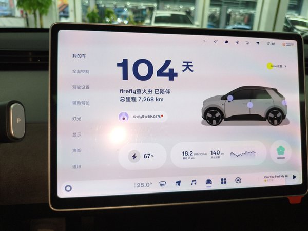 Nio Firefly 2025, 7300 км, за 12915 USD - фото 15