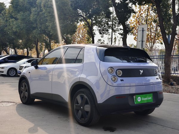 NIO Firefly 2025, 800 км, за 13875 USD - фото 6