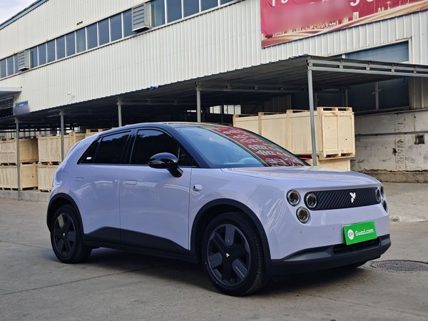 NIO Firefly 2025, 800 км, за 13875 USD