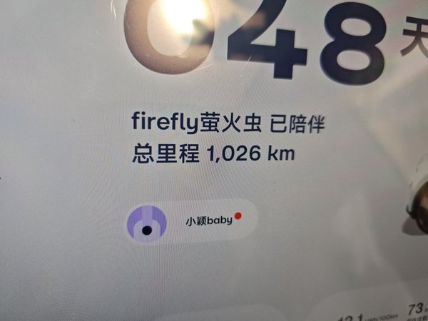 firefly firefly 2025, 1000 км, за 15874 USD - фото 9