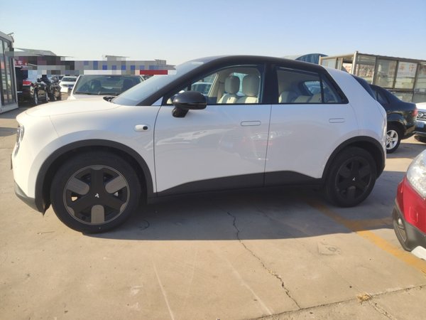 NIO Firefly 2025, 100 км, за 13831 USD