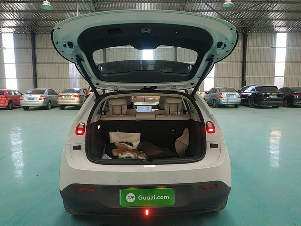 NIO Firefly 2025, 2300 км, за 12849 USD - фото 18