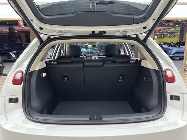 NIO Firefly 2025, 400 км, за 13805 USD - фото 22