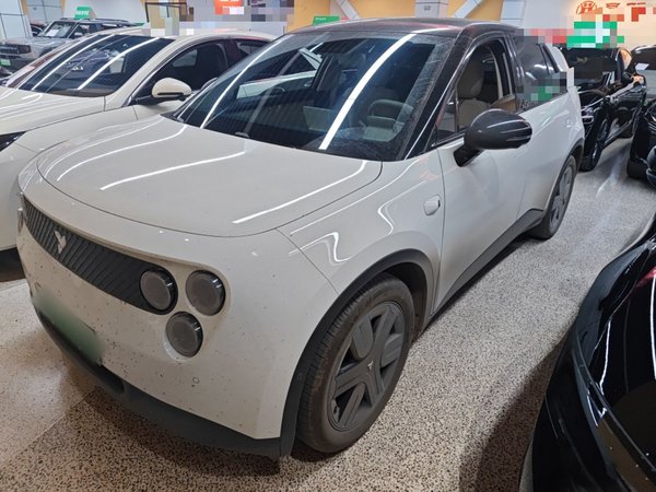 firefly 2025 Illuminated Edition