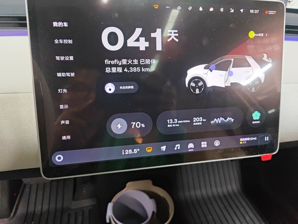 NIO Firefly 2025, 4400 км, за 13566 USD - фото 13