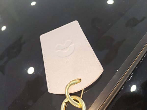 NIO Firefly 2025, 700 км, за 12933 USD - фото 8