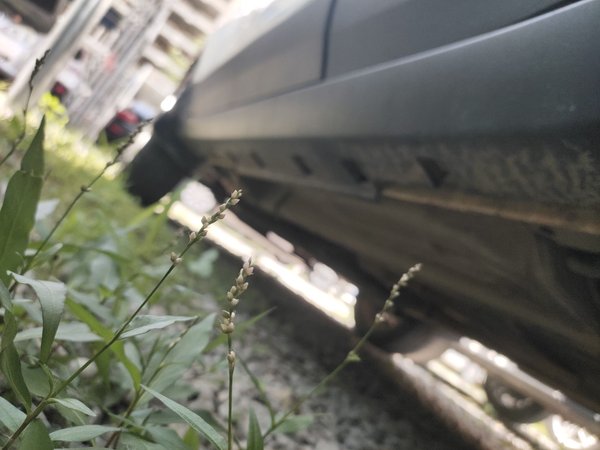 Ford EcoSport 2013, 137200 км, за 4062 USD - фото 21