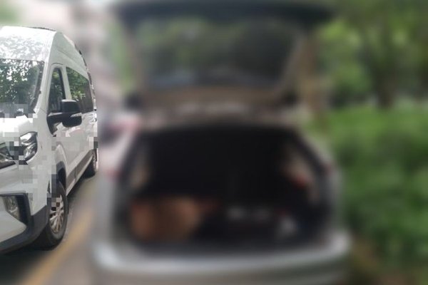 Ford Focus 2013, 51000 км, за 3170 USD - фото 22