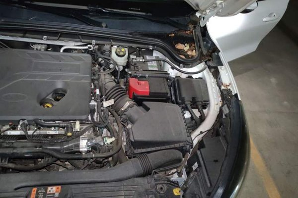 Ford Focus Active 2021, 59800 км, за 8002 USD - фото 22