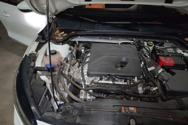 Ford Focus Active 2021, 59800 км, за 8002 USD - фото 23