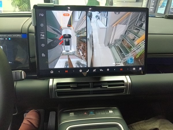 Formula Leopard Tai 7 2025, 4699 км, за 32588 USD - фото 14