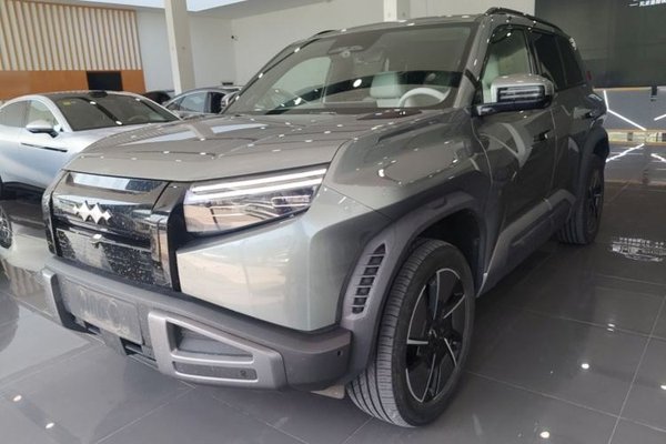 Formula Leopard Titanium 3 · 2025 год