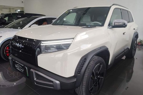 Formula Leopard Titanium 3 · 2025 год