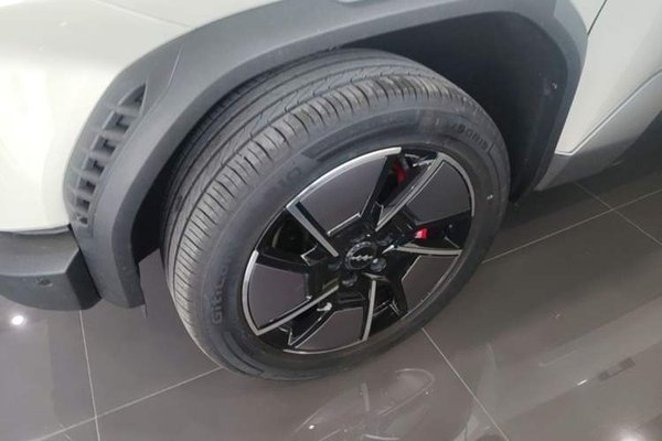 Formula Leopard Titanium 3 2025, 15200 км, за 22132 USD - фото 8