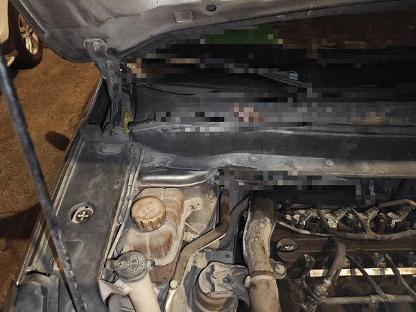 Forthing Joyear X6 2017, 100900 км, за 4132 USD - фото 20