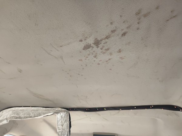 Forthing Lingzhi 2016, 39700 км, за 3212 USD - фото 19