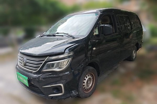 FORTHING Lingzhi · 2019 год