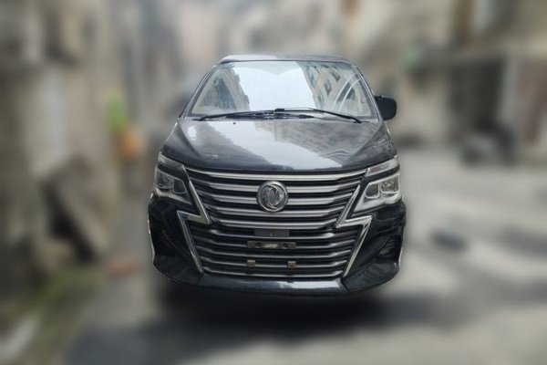 FORTHING Lingzhi 2019, 98300 км, за 5670 USD