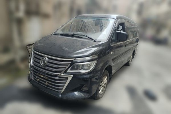 FORTHING Lingzhi · 2019 год