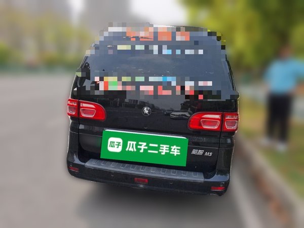 FORTHING Lingzhi 2023, 65900 км, за 7913 USD